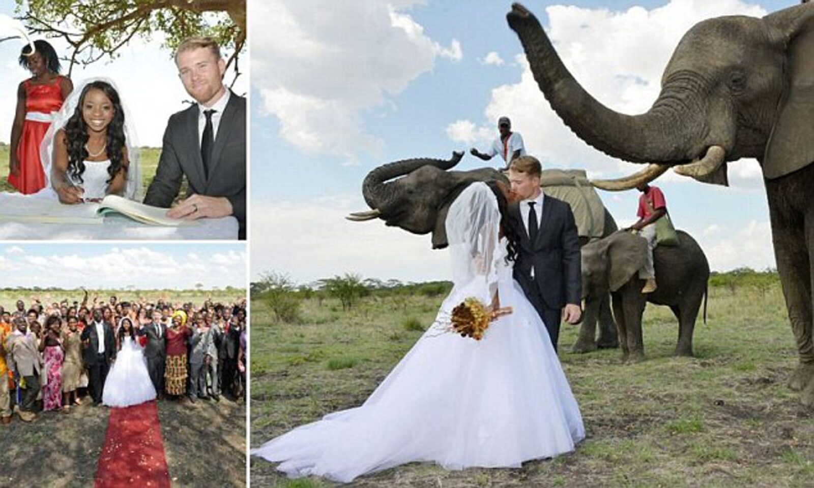 Wedding in Italy from   Harare – Zimbabwe | Romantic Italian Weddings